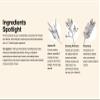 Yarok - Feed Your Ends Leave In Conditioner - Moisturize, Detangle & Protect - Hydrating & Nourishing - For Shiny, Smooth, Soft Hair - 100% Vegan - Gluten, Sulfate, Paraben & Cruelty Free - 4oz view 3