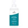 Earth Mama - Ginger Fresh Hand & Body Wash Foaming Refill - 34 fl oz view 1