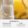 Origins Ginger Smoothing Body Scrub | Smooths & Softens | With Ginger & Dead Sea Salts, 21.2 Ounce view 4