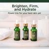 Tree of Life Face Serum Skin Care, Facial Serum for Women and Men, Set of 3 view 2