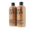 Bed Head Shampoo and Conditioner, Color Goddess, 25.36 Fl Oz (Pack of 2) view 2
