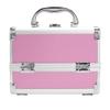 Binxin Professional Mini Makeup Train Case - Cosmetic Box with Adjustable Dividers - 3 Extendable Trays Aluminum Make Up Artist Organizer Kit With Mirror(L8 x W6) view 3
