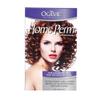Ogilvie Salon Styles Home Perm The Original - For Color Treated, Thin, or Delicate Hair - 1 Application view 1