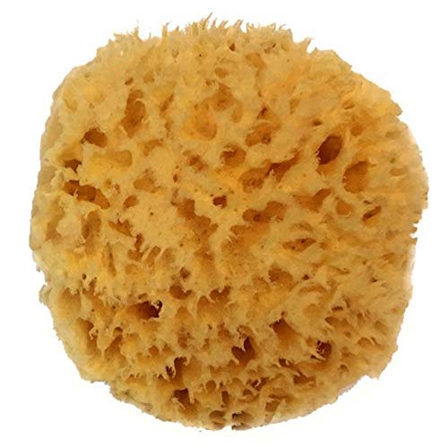 Natural Sea Wool Sponge 4-5" by Spa Destinations Amazing Natural Renewable Resource Creating The in Perfect Bath and Shower Experience