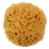 Natural Sea Wool Sponge 4-5" by Spa Destinations  Amazing Natural Renewable Resource Creating The in Perfect Bath and Shower Experience view 1
