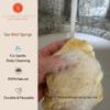 Natural Sea Wool Sponge 4-5" by Spa Destinations  Amazing Natural Renewable Resource Creating The in Perfect Bath and Shower Experience view 4
