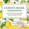Michel Design Works Foaming Hand Soap, Lemon Basil view 2