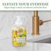 Michel Design Works Foaming Hand Soap, Lemon Basil view 4