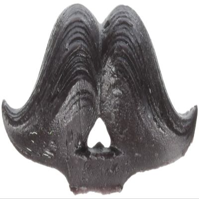 Wax Moustache