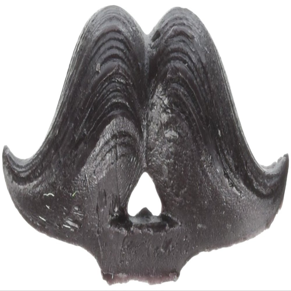 Wax Moustache