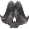 Wax Moustache view 1