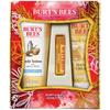 Burt's Bees Honey Pot Gift Set, 3 Honey Skin Care Products - Milk & Honey Body Lotion, Honey & Grapeseed Hand Cream and Honey Lip Balm view 1