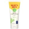 Burt's Bees Gentle Cream Cleanser with Aloe for Sensitive Skin, 98.9% Natural Origin, 6 Ounces view 1