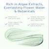Kerstin Florian Rehydrating Algae Gel Masque | Hydrating Face Mask for Dry Skin | Clarifies & Nourishes with Plant Extracts | 2.7 fl oz view 3