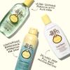 Sun Bum Cool Down Aloe Vera Lotion - Vegan After Sun Care with Cocoa Butter to Soothe and Hydrate Sunburn - 8 oz view 4