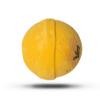 Autumn Offerings - Bath Bomb (Pumpkin Spice) view 3