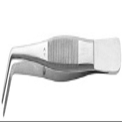 1 Piece Dental College Tweezer Serrated 6"