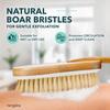 Long Handled Back Scrubber for Shower, Boar Bristle Wooden Bath Brush Long Handle for Shower - Back Brush for Shower Men or Women, (Non-Detachable Head) Shower Brush for Full Body Cleansing by rengra view 4