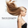 (Yuko PhitenBella Management for Damaged Hair - Hair Care Product w/ Jojoba Oil & Keratin, 24.7 Ounces) view 3