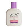 Lacto Calamine Skin Balance Oil Control Oily to Normal Skin 120ml view 1