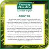 Thursday Plantation Tea Tree Antiseptic and Antibacterial Cream, 3.5 Ounces view 4