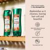 Suave Shampoo and Conditioner Set, Almond & Shea Butter - Moisturizing Shampoo & Conditioner, Dry Hair Treatment, Scented, 12.6 Oz Ea (2 Piece Set) view 2