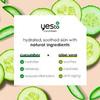Yes To Face Wipes for Women and Men, Sensitive Facial Cleansing Wipes for use as a Make Up Remover, Cleaning, Soothing, Cucumbers Aloe Vera view 3