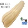 2X Cleo's large whole loofa. All natural for bath and shower use. Exfoliate your skin the natural way with our top quality Egyptian loofa/luffa/loofah. large whole loofah view 2