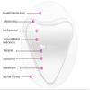 Naturaful - NEW Decollete Pads (6 Pads) - Anti-Wrinkle Decollete Pads For REDUCING Chest Wrinkles view 4