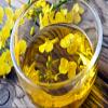 100% Pure Extra Virgin Unrefined Cold Pressed Camelina Seed Oil (64 oz) view 3