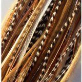 4"-6" Beautiful Natural Mix Feather Hair Extension Made of Salon Quality Feathers