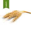 100% Pure Organic Extra Virgin Wheat Germ Oil (12 oz) view 2