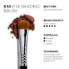 Sigma Beauty E55 Eye Shading Brush, Cream and Powder Eyeshadow Makeup Brush view 3