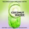 Garnier Fructis Style Curl Scrunch Controlling Gel 6.8 oz (Pack of 2) view 4