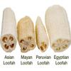 SeaSationals Loofah Sampler 4-Pack - Includes one Each of 10-12 inch Egyptian, Mayan, Peruvian & Traditional Loofahs view 3