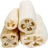 SeaSationals Loofah Sampler 4-Pack - Includes one Each of 10-12 inch Egyptian, Mayan, Peruvian & Traditional Loofahs view 4