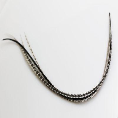 Feather Hair Extension  Grizzly and Beige Feathers, All Genuine Thin Long Feathers, Ranging From 8 to 13 Inches in Length, With a Total of 5 Feathers