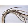 Feather Hair Extension  Grizzly and Beige Feathers, All Genuine Thin Long Feathers, Ranging From 8 to 13 Inches in Length, With a Total of 5 Feathers view 3