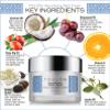 TOULON Night Face Cream For Women - Best Natural Face Moisturizer for Dry Skin with Vitamin C, Cocoa Butter & Grapeseed Oil to Build Collagen, Reduce Fine Lines & Firm Neck and Decollete view 3