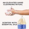 EO Liquid Hand Soap Refill, 1 Gallon, French Lavender, Organic Plant-Based Gentle Cleanser with Pure Essential Oils view 3