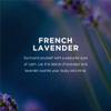 EO Liquid Hand Soap Refill, 1 Gallon, French Lavender, Organic Plant-Based Gentle Cleanser with Pure Essential Oils view 4