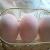 3 Large, Luxury Bath Bomb Fizzies 5 Oz Each Handmade in The USA with Natural Ingredients, Shea and Cocoa Butter, Great for Dry Skin (Strawberries and Champagne (FBA) view 4