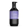 Theorie Purple Sage Brightening Conditioner for Blonde, Bleached, Silver, & Grey Hair. Instantly Eliminates, Neutralizes Brassiness & Yellows | With Argan, Marula, & Grape Seed Oil (800mL) view 2