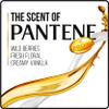 Pantene Sheer Volume 2 in 1 Shampoo & Conditioner 12.6 Fl Oz (Pack of 4) view 4