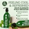 Luseta Shampoo and Conditioner Set with Tea Tree and Argan Oil for Oily Hair Clarifying, Fighting Dandruff Sulfate Paraben Free for Men and Women 2x16.9oz view 3