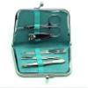 6 pcs Fancy Manicure Set (Pink) view 4