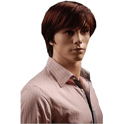 ADAMAI 11'' Cool Men Short Natural Dark-Brown Fluffy Straight Wigs Comfortable Synthetic Hair Wigs