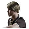 ADAMAI 11'' Cool Men Short Natural Flax Color Fluffy Straight Wigs Comfortable Synthetic Hair Wigs view 4