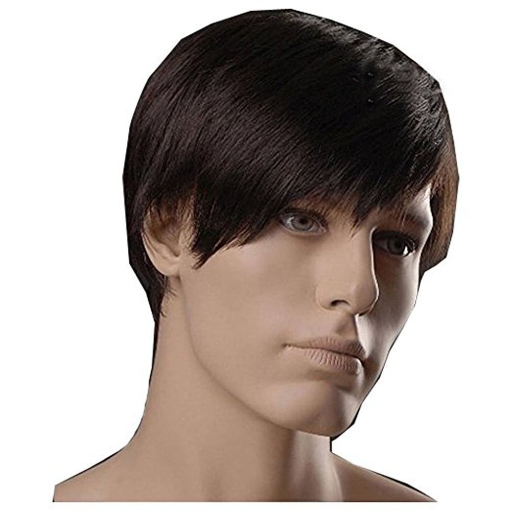 ADAMAI 9.5'' Cool Men Short Natural Brown Fluffy Straight Wigs Comfortable Synthetic Hair Wigs