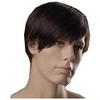 ADAMAI 9.5'' Cool Men Short Natural Brown Fluffy Straight Wigs Comfortable Synthetic Hair Wigs view 1